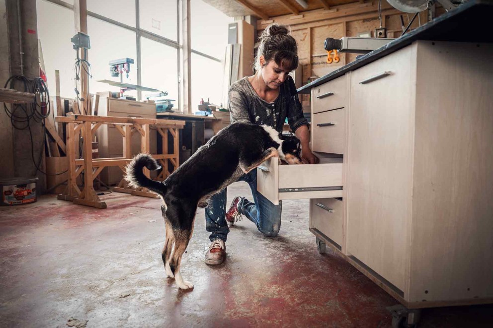 hund beschaeftigen hund beschaeftigen