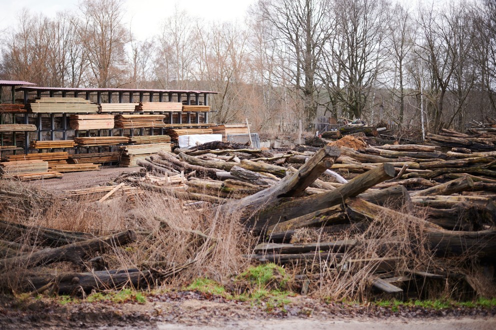 
				Holzbretter und entrindete Baumstämme lagern auf dem Werkhof von Jürgen Bergmann.

			