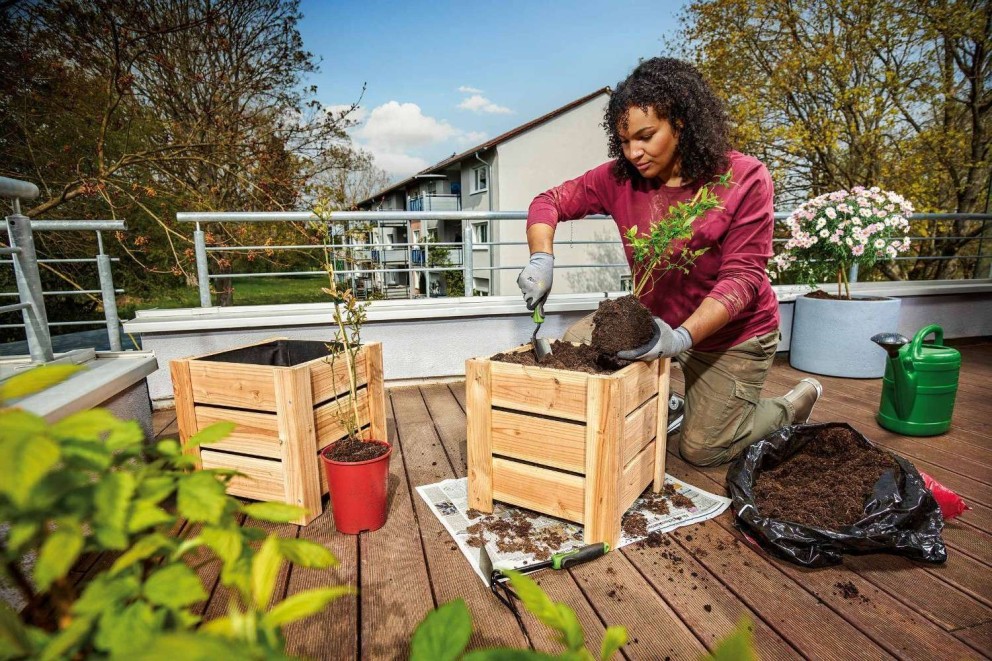 Femme plante une plante dans une caisse en bois sur une terrasse avec des accessoires de jardinage