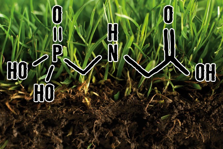 Debatte um Glyphosat Debatte um Glyphosat