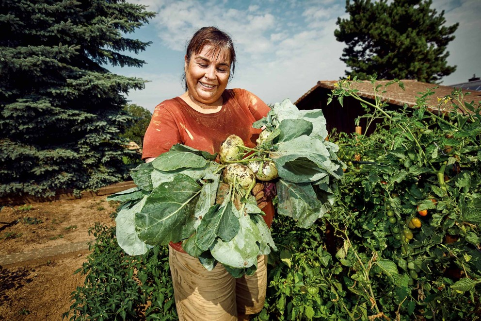 Une femme tient des choux-raves fraîchement récoltés dans le potager.