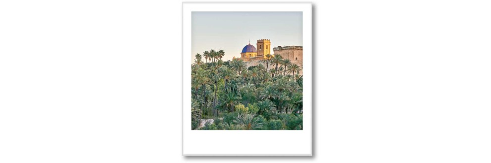 polaroid palms of valencia halbe hoehe polaroid palms of valencia halbe hoehe