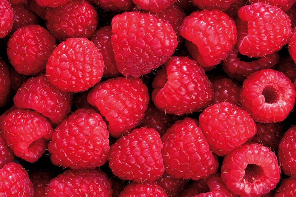 beerenstraeucher himbeeren beerenstraeucher himbeeren