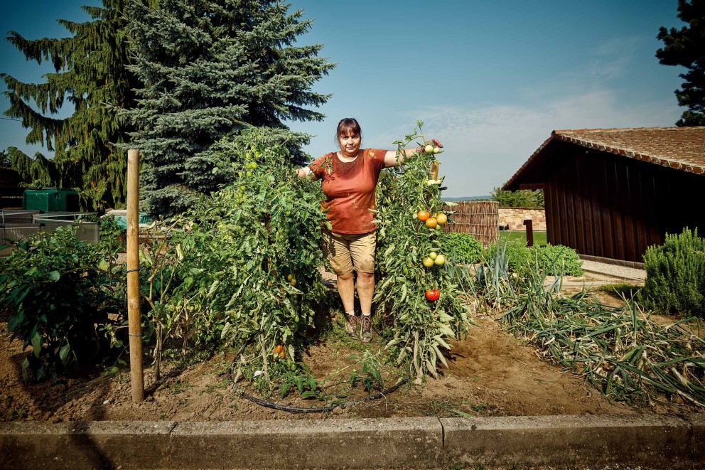 Femme debout dans un potager parmi des plants de tomates