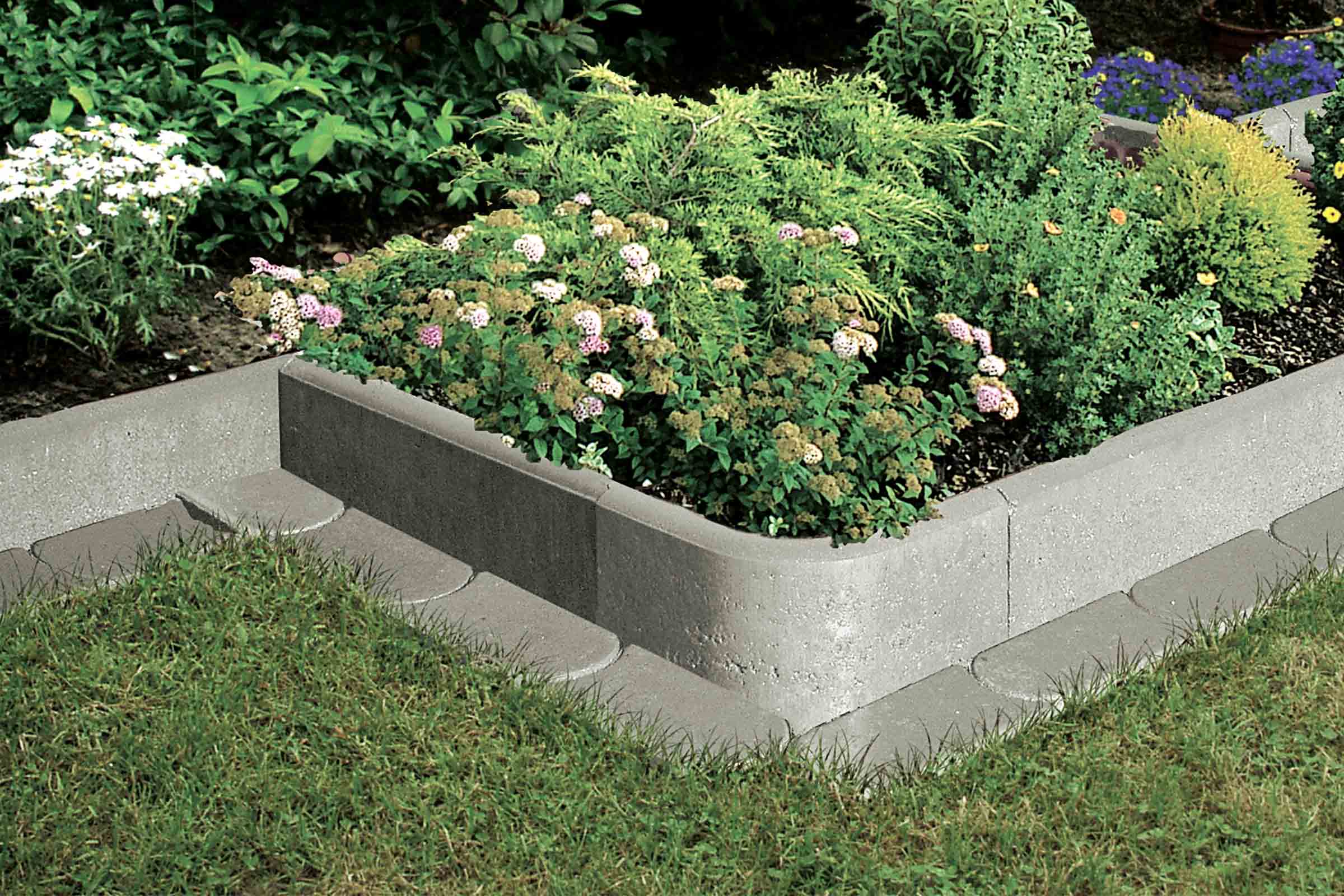 Jardinière surélevée en blocs de béton avec diverses plantes