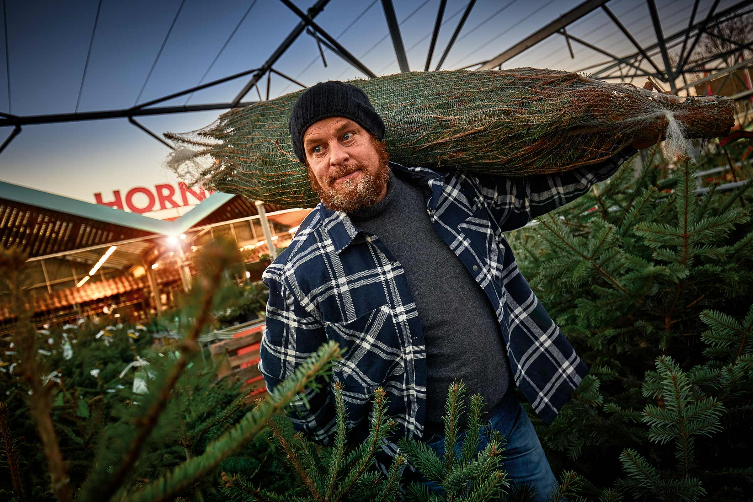 Un homme porte un sapin de Noël emballé sur l'épaule dans un magasin Hornbach.