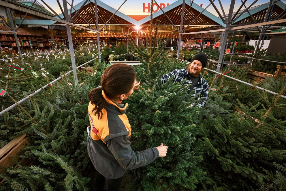 weihnachtsbaum verkauf markt weihnachtsbaum verkauf markt