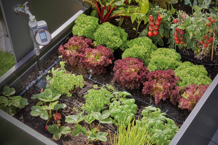 Arroser un potager surélevé