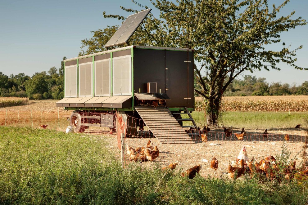 inselanlage huehnerstall inselanlage huehnerstall