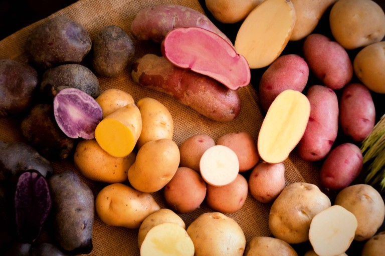 Kartoffelsorten im Überblick
