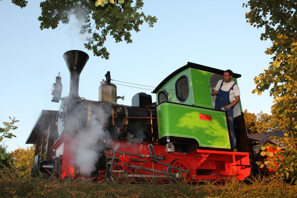 
							Une locomotive à vapeur dans le jardin 
						