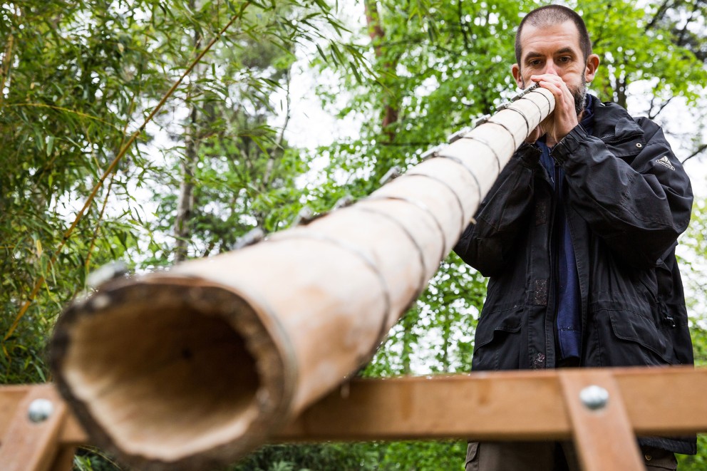 
							Maintenant ou jamais: Sascha fabrique un didgeridoo
						