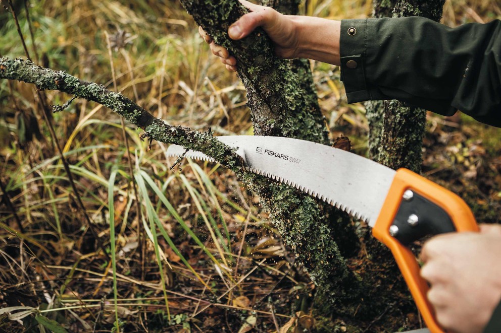 holz saegen holz saegen