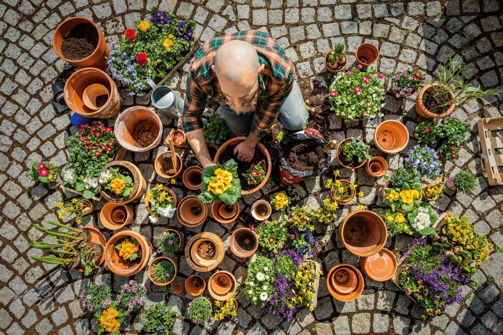 Reiß Deinen Garten aus dem Winterschlaf.