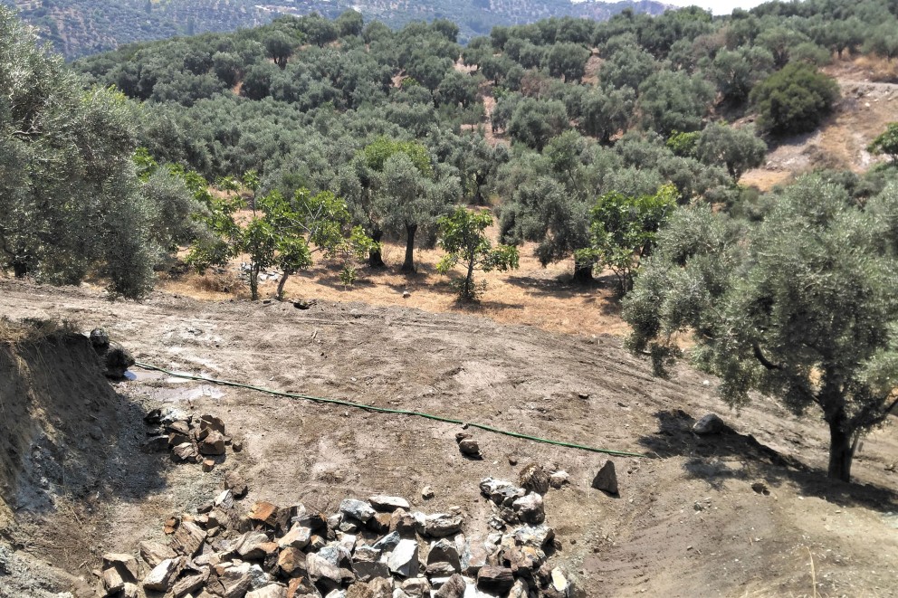 
				Aussicht von Baustelle auf Olivenhaine.

			