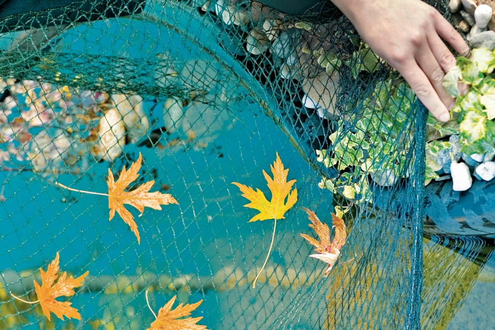 filet de protection contre les feuilles filet de protection contre les feuilles