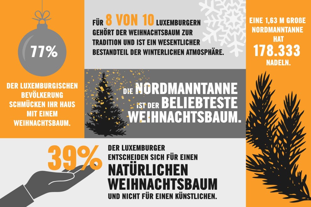 Fakten Weihnachtsbaum Fakten Weihnachtsbaum