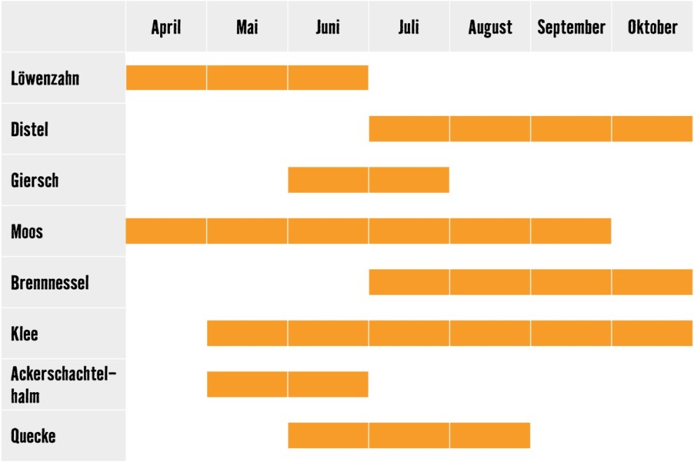 LU Unkraut Kalender LU Unkraut Kalender