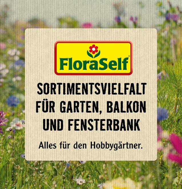 
				LU Floraself hobbygaertner

			