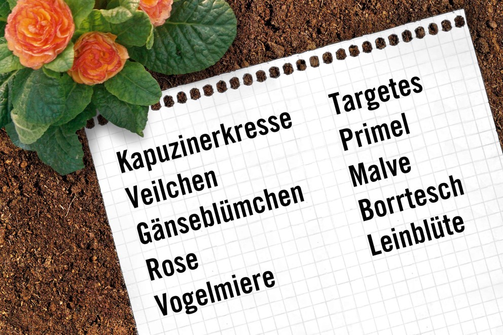 LU Gärtnern Zettel LU Gärtnern Zettel