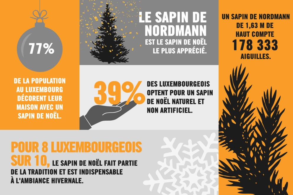 Fakten Weihnachtsbaum Fakten Weihnachtsbaum