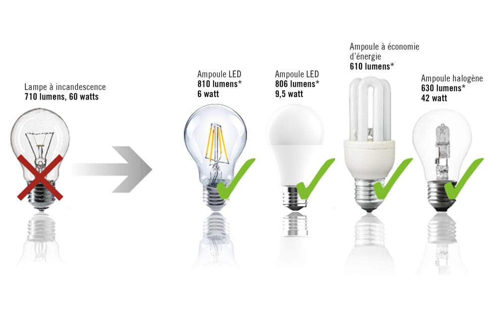 Efficience des ampoules Efficience des ampoules