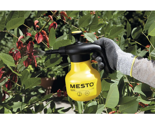 Gartenszene mit einer Person, die mit einer Mesto Drucksprühflasche Pflanzen besprüht.