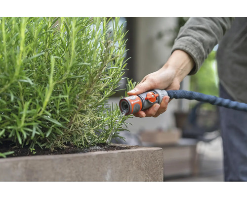 Eine Person bewässert eine Pflanze mit einem Gartenschlauch