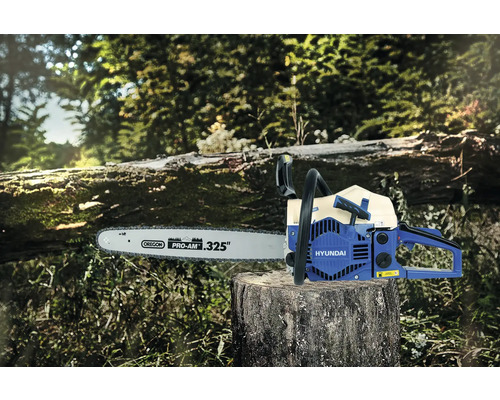 Hyundai Kettensäge auf Baumstumpf im Wald