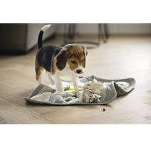 Beaglewelpe spielt auf einer interaktiven Hundespielmatte.
