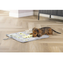 Dackel liegt auf einer grauen interaktiven Futtermatte mit Stoffstücken auf einem Holzboden