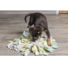 Hundespielzeug beeztees Puppy Schnüffelmatte Sniffy 22 x 22 x 4 cm Intelligenzspielzeug, Snackspielzeug, Beschäftigung, Interaktiv Spielzeug