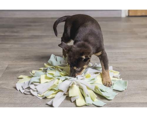 Un chiot brun renifle un tapis de fouille sur un plancher en bois.