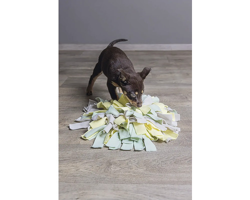 Petit chien jouant avec un tapis de fouille