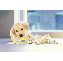 Hundespielzeug beeztees Puppy Schnüffelmatte Sniffy 22 x 22 x 4 cm Intelligenzspielzeug, Snackspielzeug, Beschäftigung, Interaktiv Spielzeug
