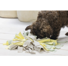 Hundespielzeug beeztees Puppy Schnüffelmatte Sniffy 22 x 22 x 4 cm Intelligenzspielzeug, Snackspielzeug, Beschäftigung, Interaktiv Spielzeug