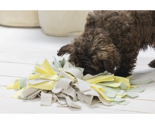 Un chien marron renifle un tapis de fouille pour chiens sur un plancher en bois clair.