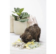 Hundespielzeug beeztees Puppy Schnüffelmatte Sniffy 22 x 22 x 4 cm Intelligenzspielzeug, Snackspielzeug, Beschäftigung, Interaktiv Spielzeug