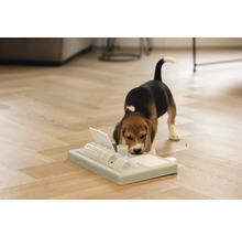Beagle Welpe spielt mit einem interaktiven Futterspielzeug auf dem Boden.