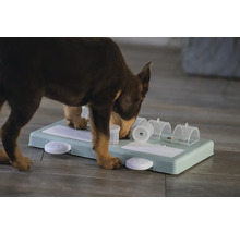 Hond spillt mat interaktivem Intelligenzspillgezei fir Fudderbelounung