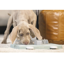 Weimaraner Hund mit einem Intelligenzspielzeug für Hunde