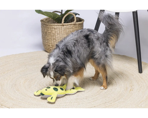 Un chien joue avec une grenouille en peluche jaune sur un tapis rond.