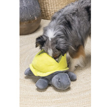 Hund spielt mit Schildkröten-Plüschtier
