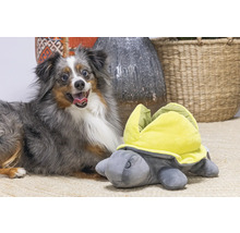 Hund neben einem Schildkröten-Hundespielzeug