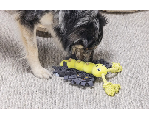 Chien explorant un jouet distributeur de nourriture interactif en forme de chenille sur un tapis de fouille