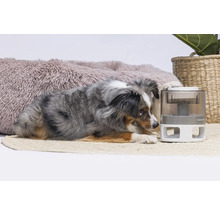 Hundespielzeug beeztees Brain Game Delicious 14 cm Intelligenzspielzeug, Snackspielzeug, Beschäftigung, Interaktiv Spielzeug