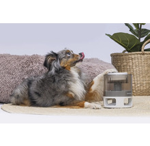 Hundespielzeug beeztees Brain Game Delicious 14 cm Intelligenzspielzeug, Snackspielzeug, Beschäftigung, Interaktiv Spielzeug