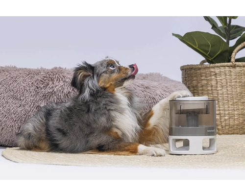 Ein Hund leckt sich die Nase und liegt neben einem Futterautomaten für Haustiere.