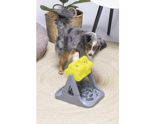 Chien jouant avec un jouet d''intelligence interactif sur un tapis.