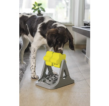 Hundespielzeug beeztees Brain Game Rodar 25,5 x 27 x 31 cm Intelligenzspielzeug, Snackspielzeug, Beschäftigung, Interaktiv Spielzeug